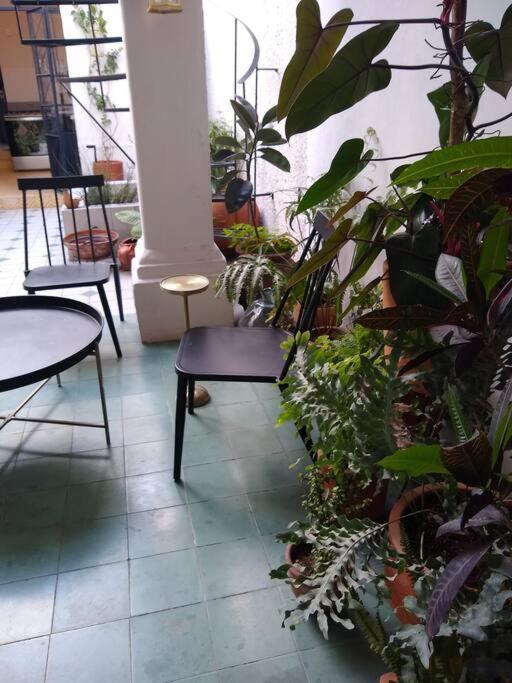 Villa Casa Cuauhtemoc Guadalajara Exterior foto