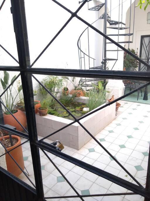 Villa Casa Cuauhtemoc Guadalajara Exterior foto