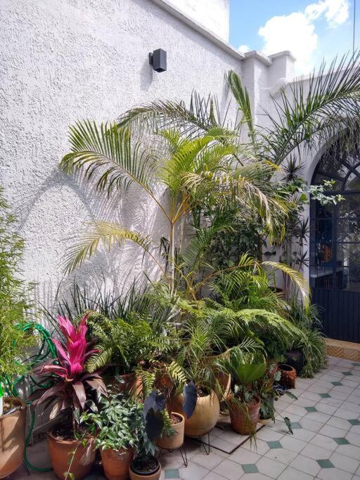 Villa Casa Cuauhtemoc Guadalajara Exterior foto